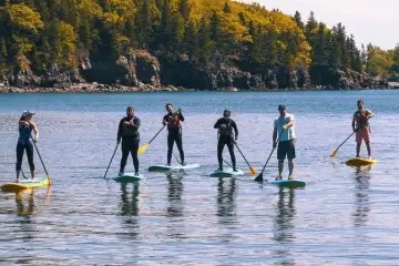 imageye___-_HarborTrip